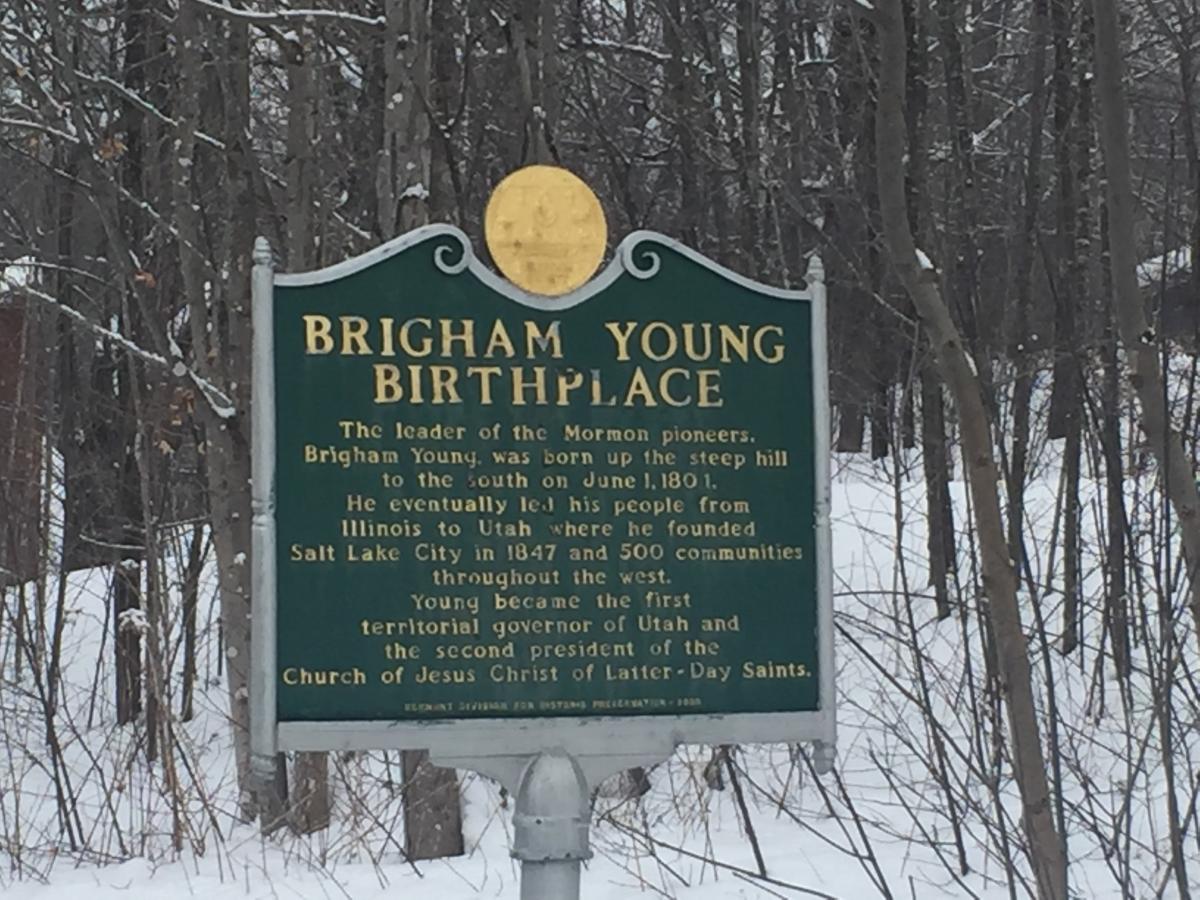 その他 Brigham Young [VHS] Brigham: Brigham Young [VHS Tape] Maurice Grandmaison; Charles